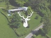 Bild 1 - Freistehendes Einfamilienhaus im Bauhausstil in Bestlage von Waldshut zu verkaufen