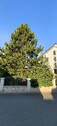 Bild 18 - 