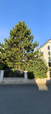 Bild 18 - 