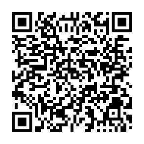 QR-Code - 