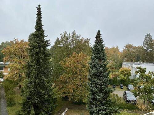 Balkonblick - 2-Zimmerwohnung in Berlins begehrtester Wannseelage