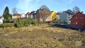 Meigen07 - 