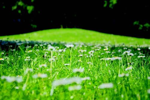 Grundstück - AIGNER - Ruhig gelegenes Grundstück für bis zu drei Häuser in Pasing