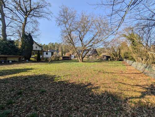 3 - Grundstück in Celle