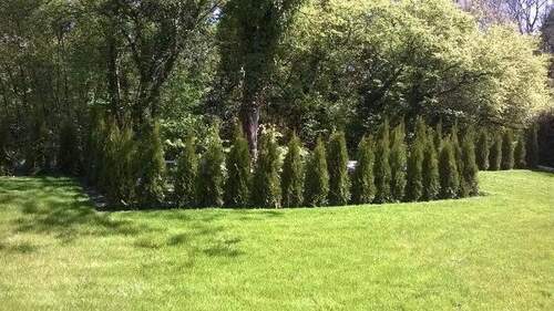 Garten II - 