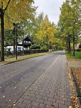 k-20251009_133649.jpg - 