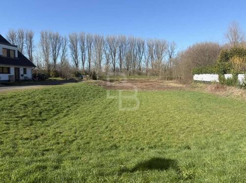 Grundstück Straßenseite - Grundstück zum Kaufen in Köln