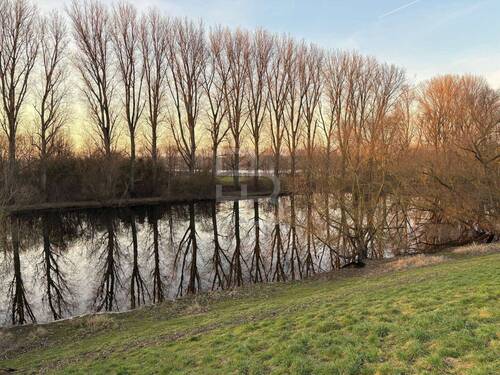 Ansicht vom Damm - Grundstück in Köln