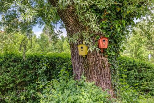 Garten - 