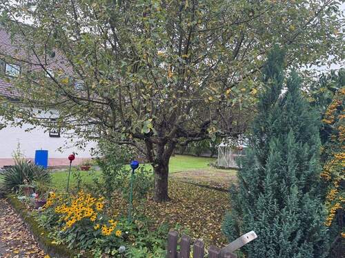 Garten.jpg - Grundstück zum Kaufen in Erding