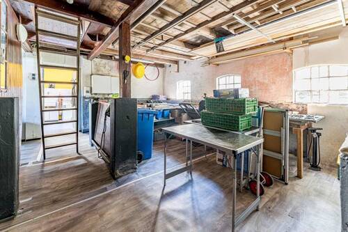 Schuppen 02 - 