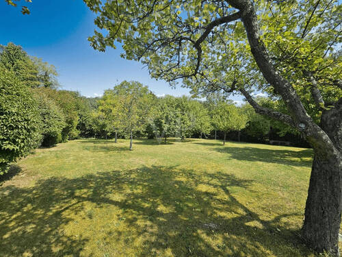 Schöner großer Garten - 