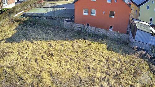 Meigen06 - 