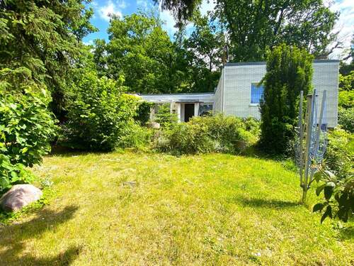 vorderer Garten mit Rasen - 