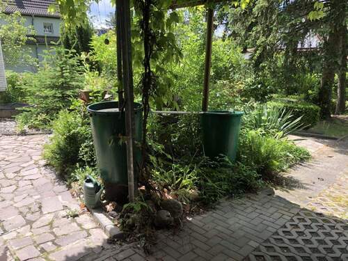 Blick vom Carport in den Garten - 