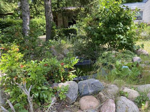 Gartenteich - 