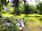 vorderer Garten - 