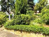 vorderer Garten - 