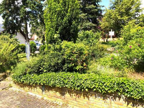 vorderer Garten - 