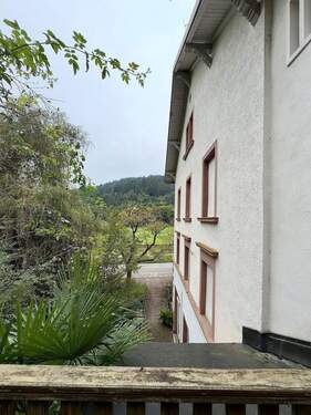 Wiehre-Günterstal: Garten für 4 sich einige Käufer - 