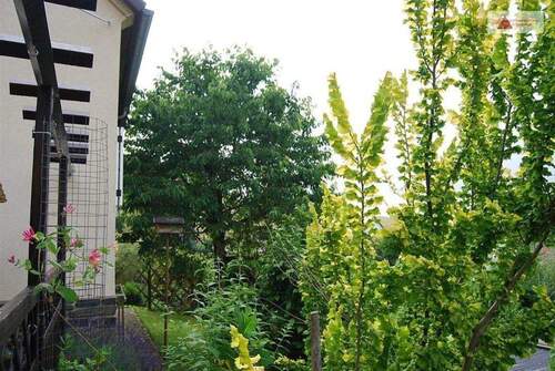 Detail - 3 Zimmer Einfamilienhaus zum Kaufen in Reinsdorf