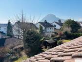 Aussicht auf den Hohentwiel - 