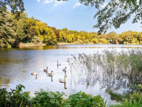 Lake Side - 2 Zimmer Etagenwohnung zum Kaufen in Berlin