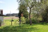 Blick - 