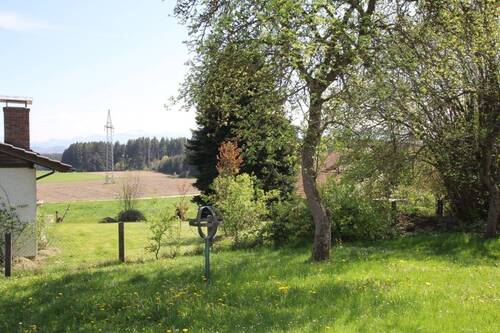 Blick - 