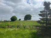 Saftige Weiden - 