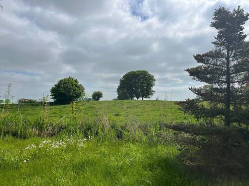 Saftige Weiden - 