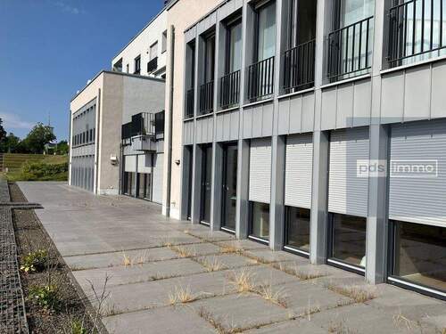 Terrasse - 4 Zimmer Etagenwohnung zum Kaufen in Trier