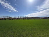 Freies Feld hinter dem Haus - 
