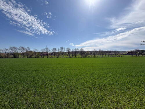 Freies Feld hinter dem Haus - 