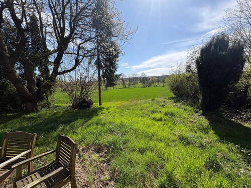 Blick aus dem Garten - 