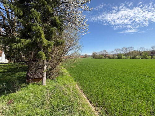 Bild 7 - 