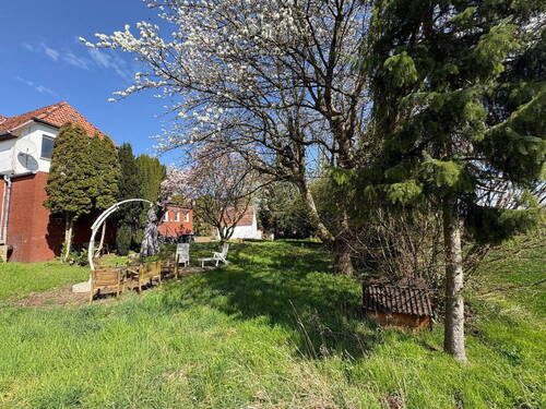Garten mit Kirschbaum - 