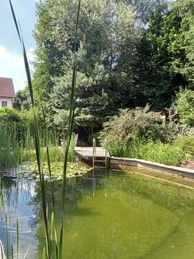 Schwimmteich - Traumhaus mit Schwimmteich und viel Platz