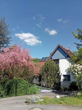 Außenansicht Front - 6 Zimmer Mehrfamilienhaus, Wohnhaus zum Kaufen in Absberg