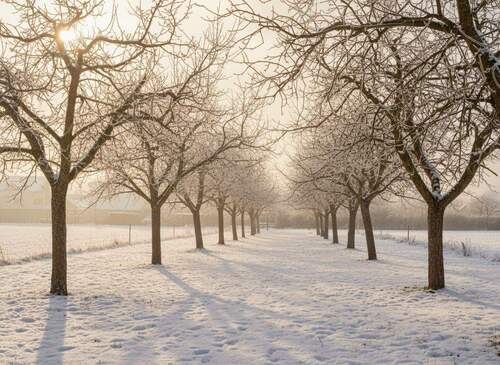 Obstgarten - Grundstück in München