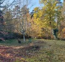 Baugrundstück in ruhiger Anliegerstraße auch doppelte Größe erwerblich - Rehfelde Herrensee