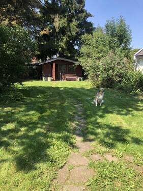 Blick auf Gartenhaus - 
