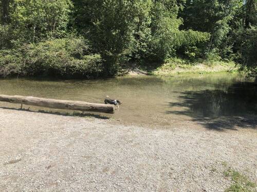Ufer am Hachinger Bach - 