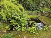 Der Gartenteich - 
