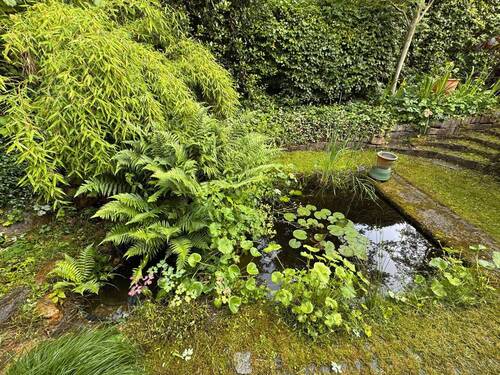 Der Gartenteich - 