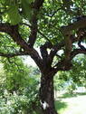 Bild 10 - 