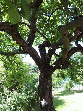 Bild 10 - 