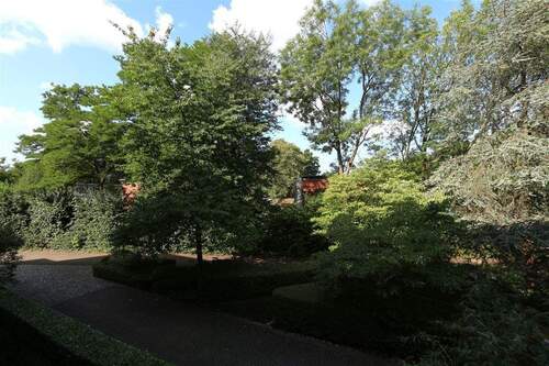 Blick in die Natur - 