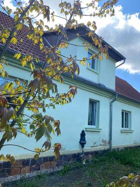 Rückansicht - 7 Zimmer Einfamilienhaus in Kitzscher