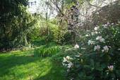 Garten - 